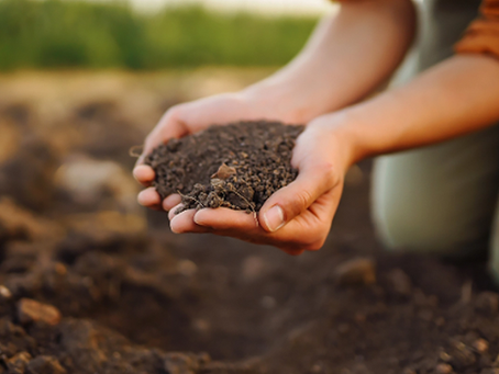 Ipiranga do Sul realiza encontro sobre programa de apoio à agricultura familiar nesta sexta-feira
