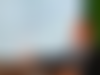 Federasul apresenta balanço de 2024 e projeta crescimento moderado para 2025