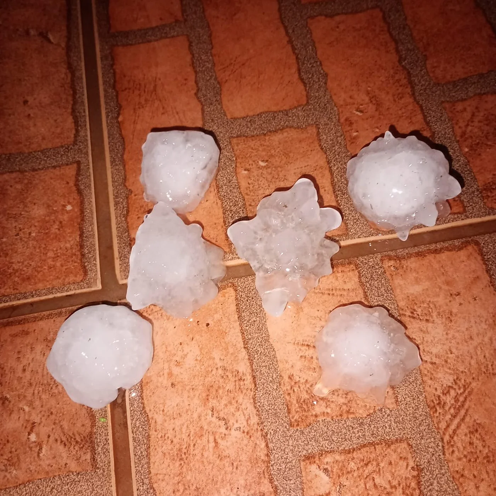 Eliziane Franceschi / Divulgação