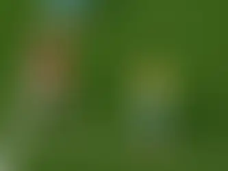 Brasil é eliminado da Copa do Mundo pela Noruega e alcança maior jejum de títulos de sua história