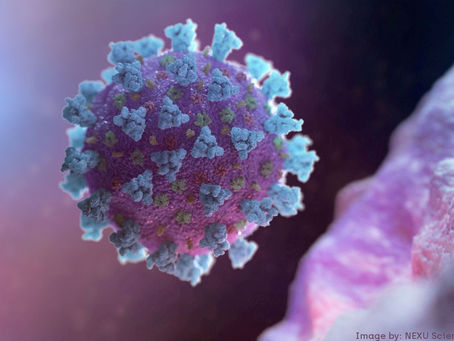 Covid-19: pessoas de 30 a 39 anos são as que mais testam positivo para a doença