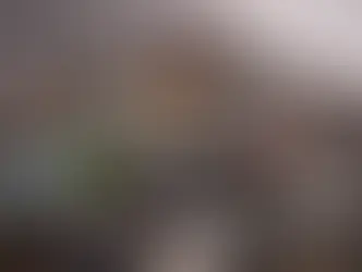 Campanha recolhe lixo eletrônico em Ipiranga do Sul nesta sexta-feira; saiba como participar