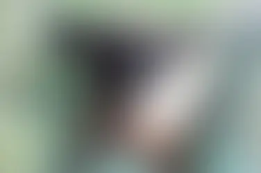 Acesso à usina histórica em Quatro Irmãos recebe R$ 800 mil para asfalto