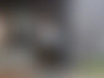 Cartório Eleitoral de Getúlio Vargas terá plantão de atendimento neste sábado, 25 de abril