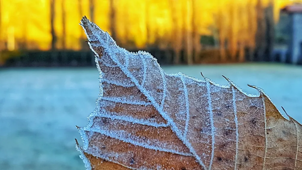 Foto: Mycchel Legnaghi/Divulgação
