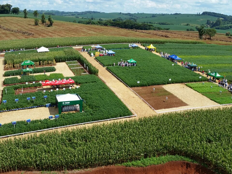 Emater/RS-Ascar participa do Dia de Campo da Olfar 2024