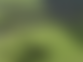 Proprietário rural pode emitir Certificado de Cadastro de Imóvel