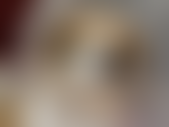 Cuidado animal: projeto 'Melhores Amigos de Estação' já castrou 155 fêmeas