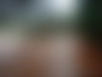Floriano Peixoto decreta emergência após chuvas causarem estragos no interior