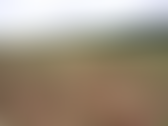 Semeadura da soja no RS avança apesar das chuvas