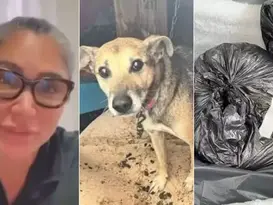 Suspeita de estelionato e maus-tratos a animais tem prisão preventiva substituída por medidas cautelares
