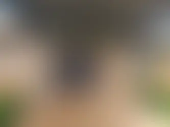 APAE de Getúlio Vargas promove encontro sobre direitos da pessoa com deficiência