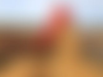 Semeio de aveia busca amenizar vazio forrageiro no Rio Grande do Sul