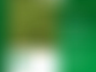 Fórum Norte Gaúcho lança III Concurso Regional de Produtividade de Soja