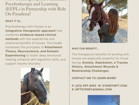 Now Offering Psychotherapy With Horses in Pasadena, California *(Previously Referred to as Equine Therapy)