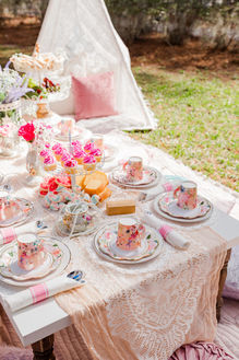 Picnic for Minis