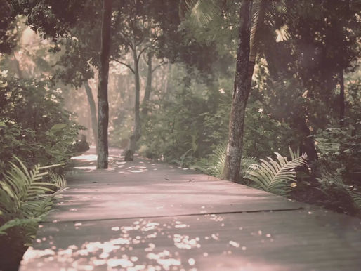 Ciro's Weekly Reading