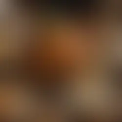 Exploring Thankfulness: A Different Perspective on Thanksgiving