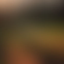 Ciro's Weekly Reading