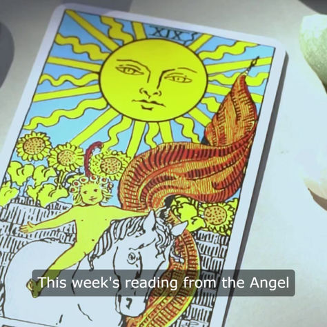 Ciro's weekly reading 