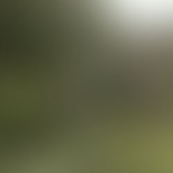 Ciro's weekly Reading