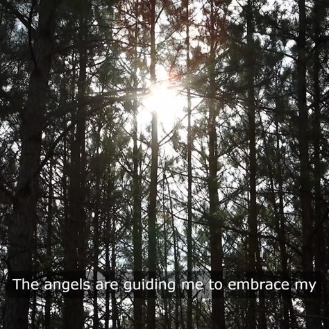 Ciro's Weekly Reading