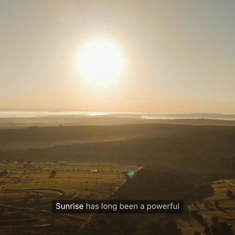 Ciro's Weekly Reading