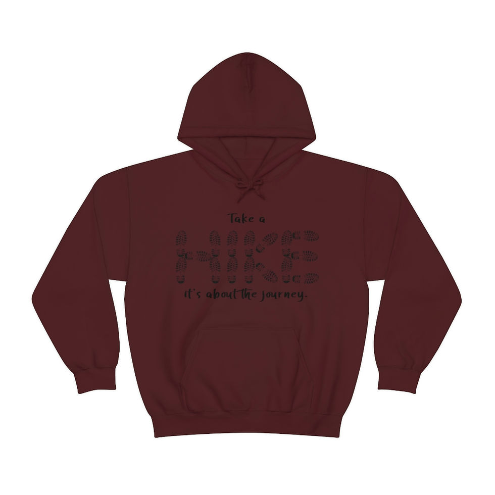 Thumbnail: Take a HIKE sweatshirt outdoor hoodie trail hoodie mountain hoodie hiking hoodie