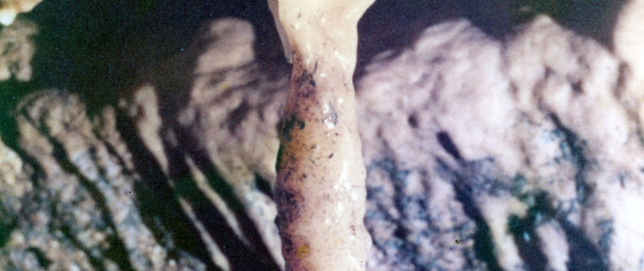 Gruta da Mesquita