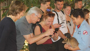 Discovering Heroic Efforts: Vespa Adventures Visits APOPO Mine-Clearing Rats in Cambodia