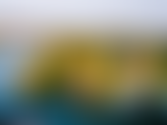 What's It Really Like Riding a Vespa to Ha Long Bay in 2025?