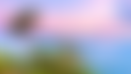 One Perfect Day in Phuket: What to See, Do, and Taste