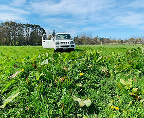 Lifestyle Agricultural Specialists managing crop and pasture.