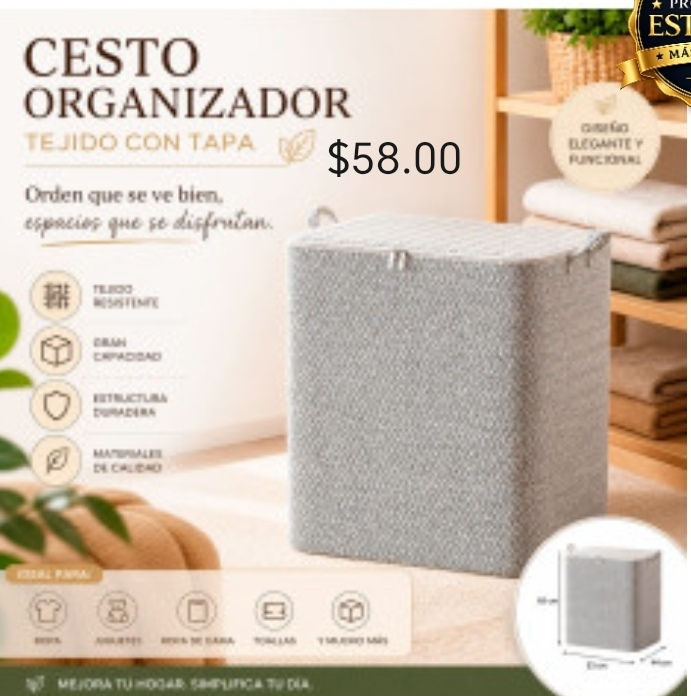 Cesto organizador 
