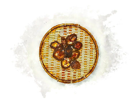 Overhead view of dried shiitake mushrooms arranged on a round bamboo drying basket. Seven dark brown mushrooms with golden gills visible on their undersides rest on the woven bamboo surface, shown in watercolor illustration style.