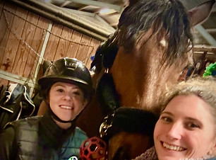 Journée en alsace pour de la communication animale chez pg team jumping