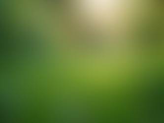 The Importance of Sustainable Living