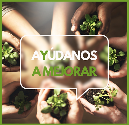 SOSTENIBILIDAD (2).png