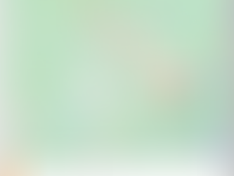 Day 57: Air B&B to Gainesville