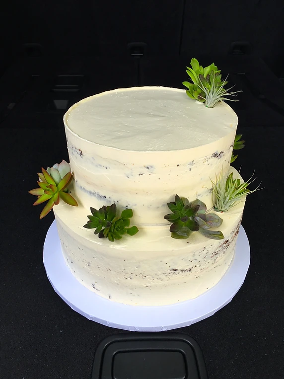Gallery Vegan Schmegan Bakery Miami Gallery Vegan Schmegan Bakery Miami