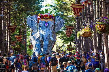our-worlds-electric-forest-gallery-31.jpg