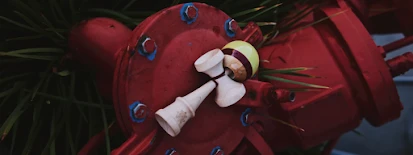 ree