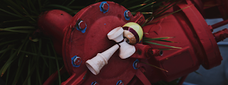 ree