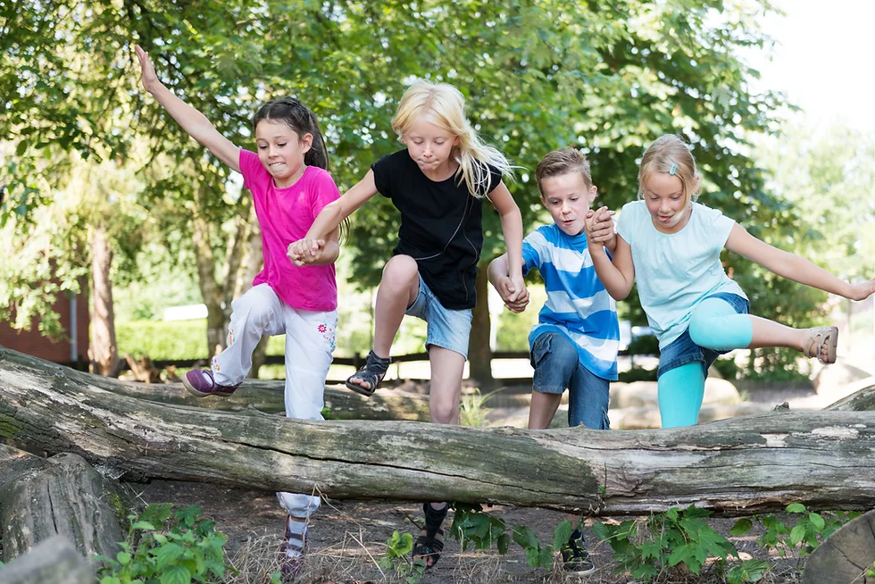 Wir beobachten die Natur im Frühjahr - Kids 5 - 7 Jahre - Führung Luftikus