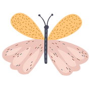 38.png