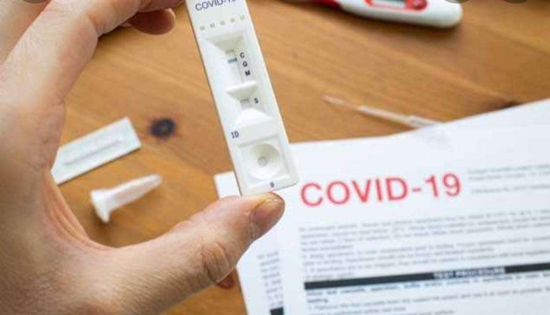 covid test kit 