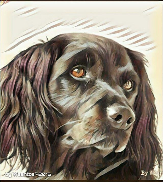 My Dog - Lany