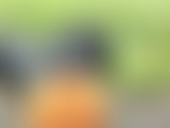 Minha cadela