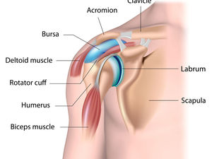 Can Acupuncture Help My Shoulder Pain?