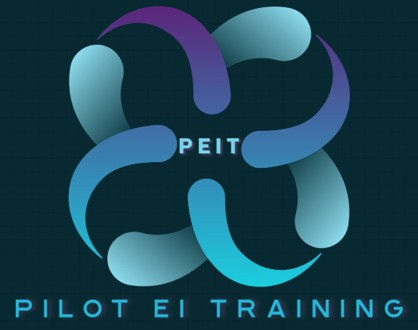 PEIT LOGO.jpg